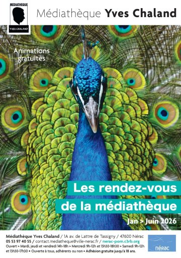 Origamis et pliage papiers