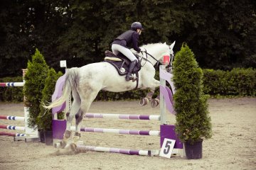 Concours de saut d'obstacles Jump Halloween