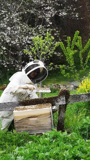 One Health - L'insecte, ce "médecin" de la terre !