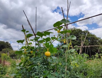 Initiez-vous à la permaculture à Saint-Laurent-les-Eglises - Mai