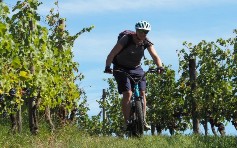 Rando à la ferme avec Trott'Iraty et pique-nique du berger