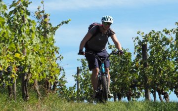 Rando à la ferme avec Trott'Iraty