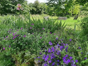 Visite du Jardin vivrier et paysager, plaisir des yeux et de la découverte de tableaux bucoliques et d'oeuvres d'art invitées