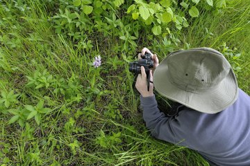 S’essayer à la photographie animalière dans la RNR du Marais de Stors