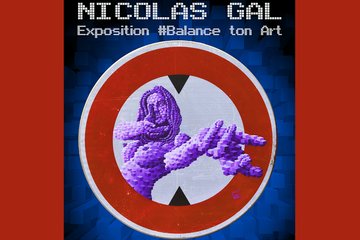Exposition « #balance ton art » de Nicolas Gal