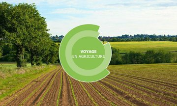 Voyage en agriculture - Viticulture/Agroéquipement - Clisson (44)