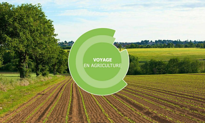 Voyage en agriculture - Viticulture/Agroéquipement - Clisson (44)