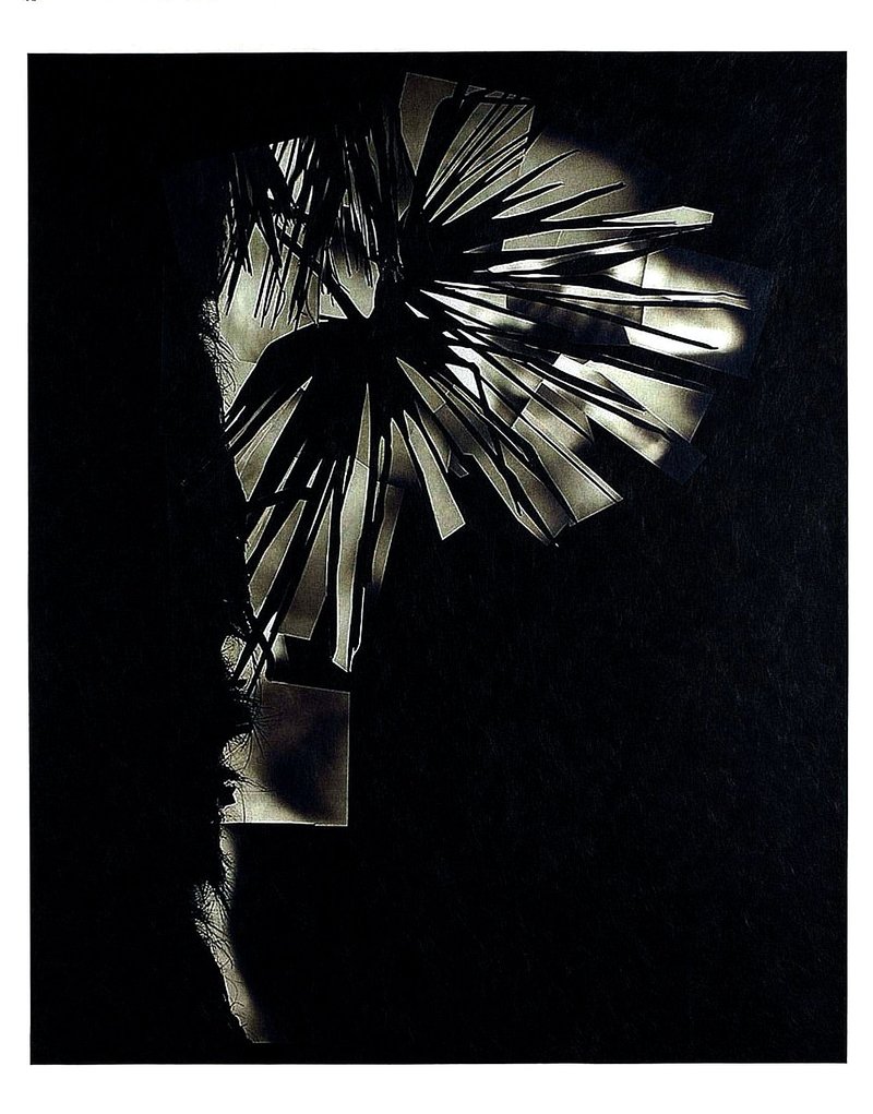 "Herbier" Une exposition d’Alain Béguerie