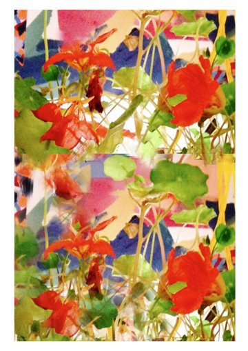 "voir les signes nature" Une exposition de Jacques Bernar