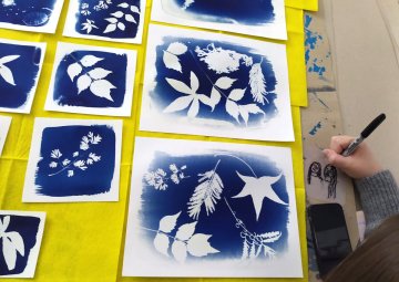Ateliers : Inspiration entre art et science