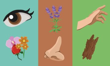 Atelier enfants - Bourgeonnement des sens