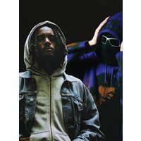 Yvnnis - romsii