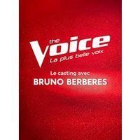 Casting the voice