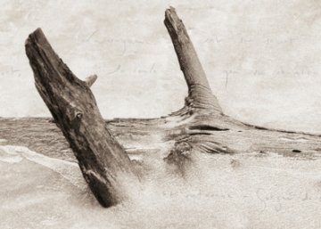 "Ces rivages perdus", avec l’auteur et photographe Camille Guichard