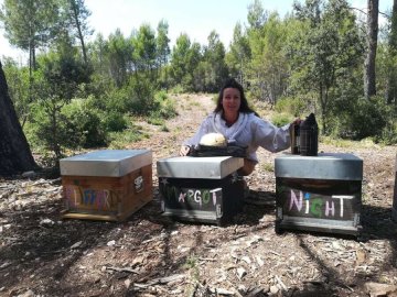 Découverte de l'apiculture autour de Marseille