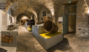 Visite gratuite de Castanea -Espace découverte de la châtaigne d'Ardèche