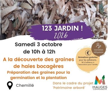 A la découverte des graines de haies bocagères
