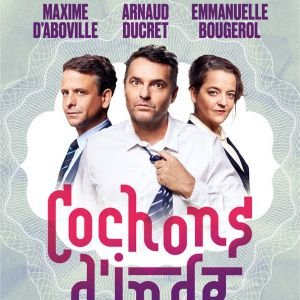 COCHON D'INDE