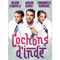 Cochons d'inde