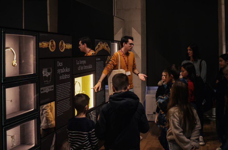Journée scolaire : Médiations autour de l'exposition Lavau, un prince celte en bord de Seine vers 450 avant notre ère