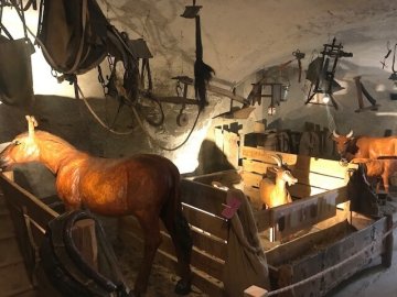 Visite du musée