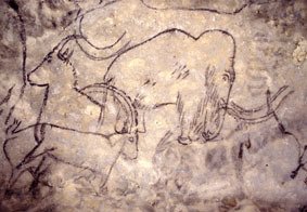 Visite guidée de la Grotte de Rouffignac