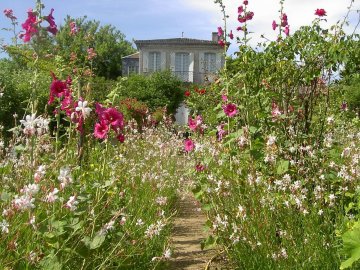 Au jardin de Jean-Jacques Rousseau