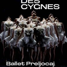 Le Lac des Cygnes - Ballet Preljocaj - La Seine Musicale