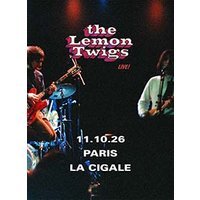 The lemon twigs