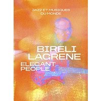Bireli lagrene