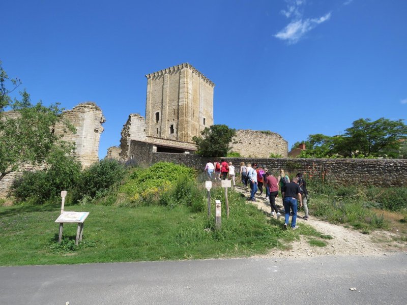 Visite du donjon de Moncontour