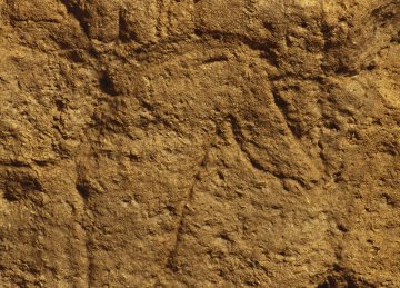 Visite guidée de la Grotte de Pair-non-Pair