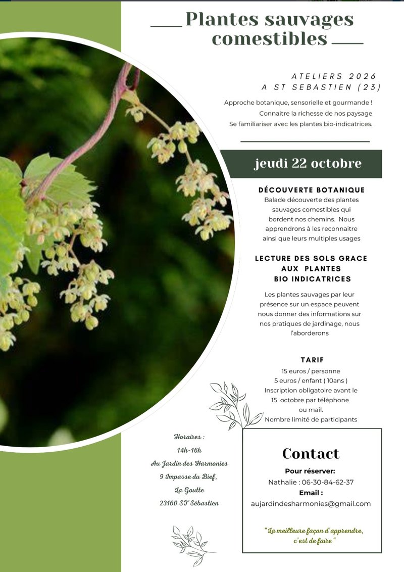 Atelier Plantes sauvages comestibles