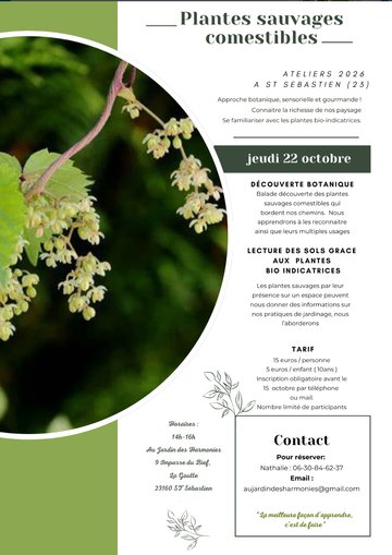 Atelier Plantes sauvages comestibles