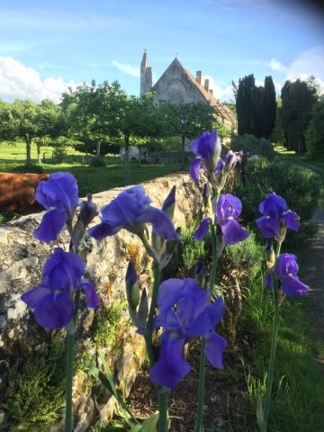 Visite guidée de l'abbaye