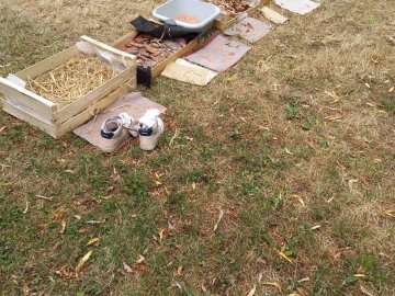 Atelier parents/enfants « Sortir en nature sauvage proche de chez soi »