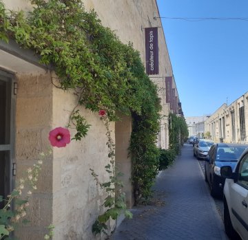 Ateliers portes ouvertes