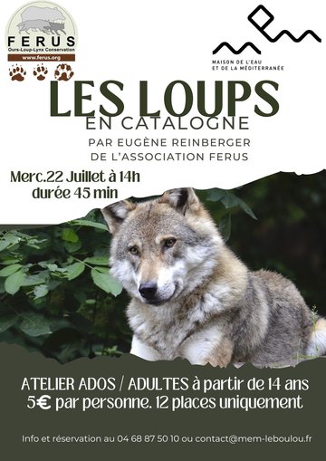 ATELIER SUR LES TRACES DES LOUPS