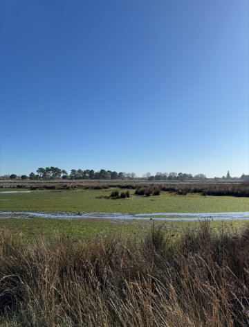 Prés Salés Ouest, découverte faune et flore