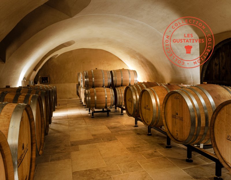 [Vignobles en scène] ESCAPE GAME "Le millésime perdu"
