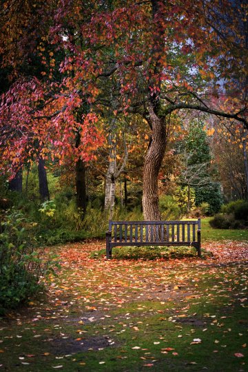 Concours photos : Automne