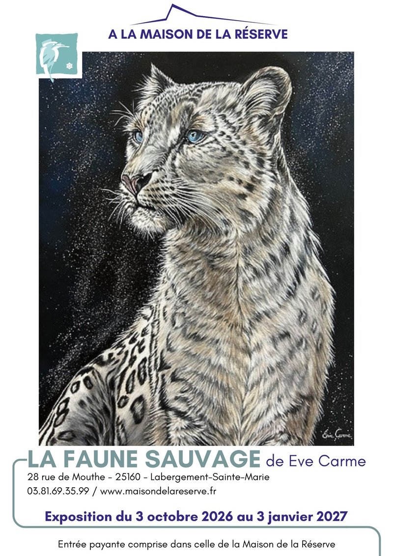 Exposition artistique - La Faune Sauvage