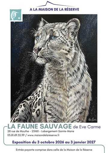 Exposition artistique - La Faune Sauvage