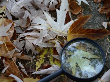 Chasse au trésor dans les vignes au Domaine Sauvète