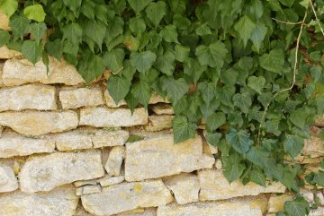 Découverte des tourbières