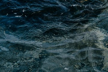 Exposition de photographies "Le thème de l'eau"