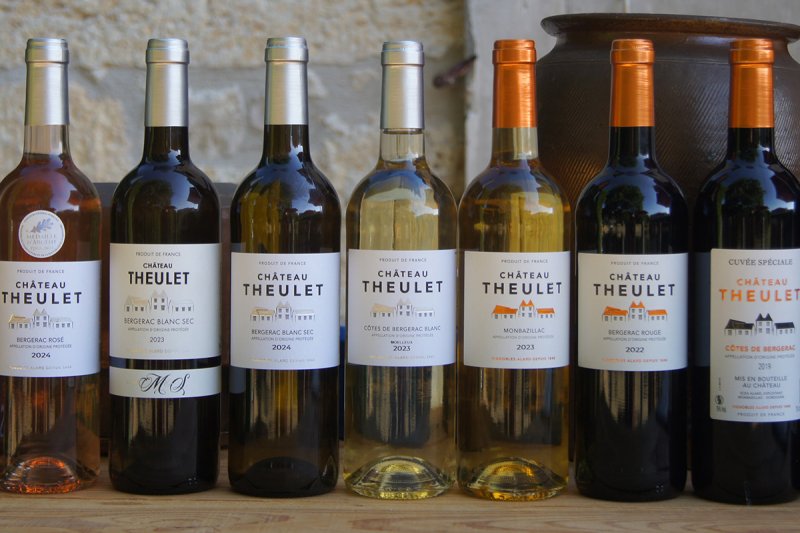 Visite et dégustation de 7 vins - 14h | Vignobles Alard