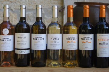 Visite et dégustation de 7 vins - 16h | Vignobles Alard
