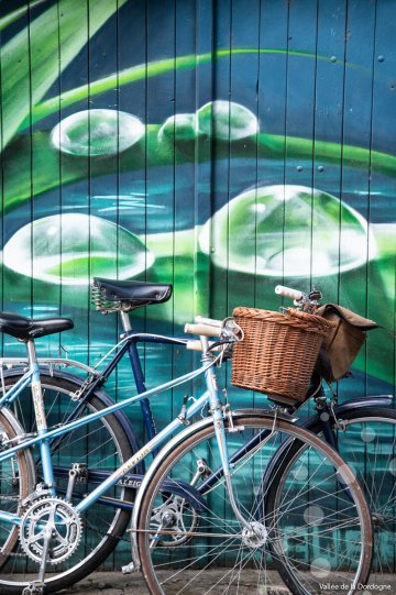 La grosse montée du Vélotonome