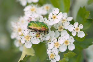Balade vélo à la découverte de la biodiversité